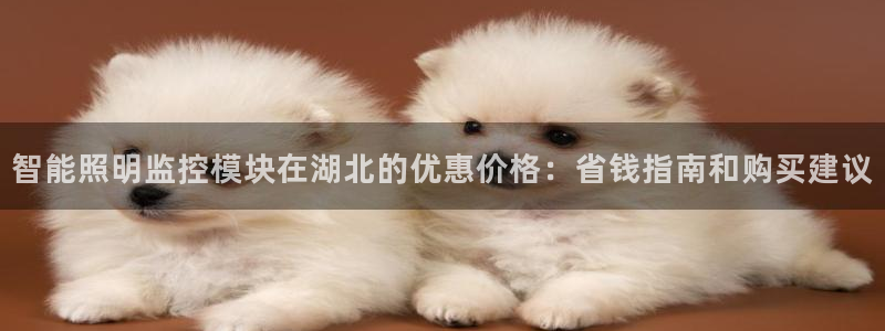 云顶集团在哪里