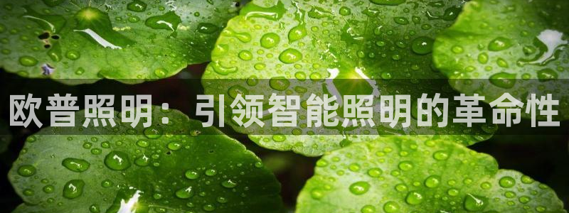 云顶集团有限公司简介图片