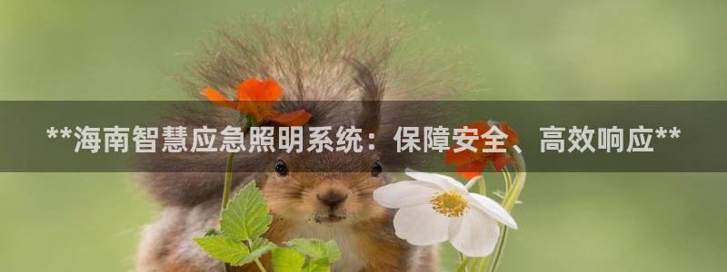 云顶国际装饰设计招聘