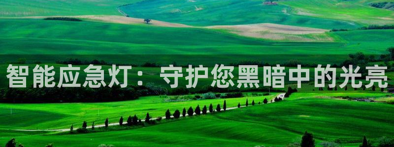 云顶国际测试服免费领取