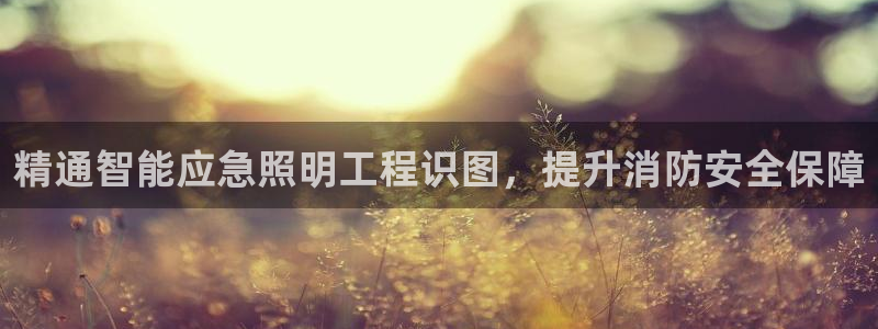 云顶集团董事长是谁