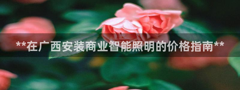 云顶讲解